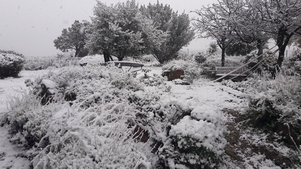Photo of Outdoor in Bormes-Les-Mimosas