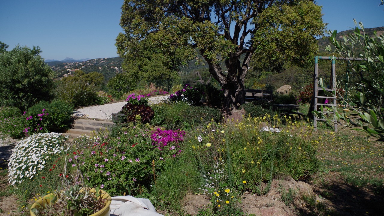 Photo of Outdoor in Bormes-Les-Mimosas