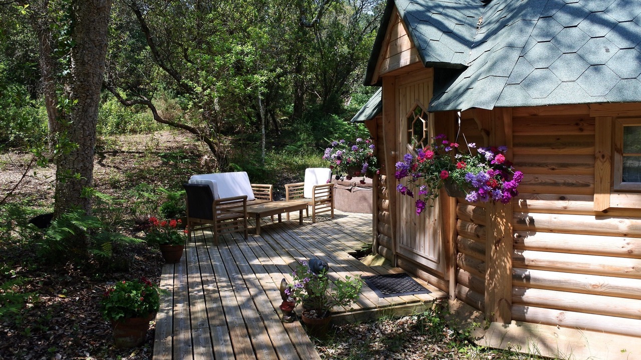 Photo of Outdoor in Soorts-Hossegor