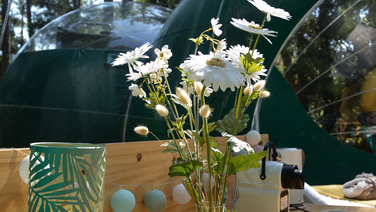 Photo of Outdoor in Soorts-Hossegor