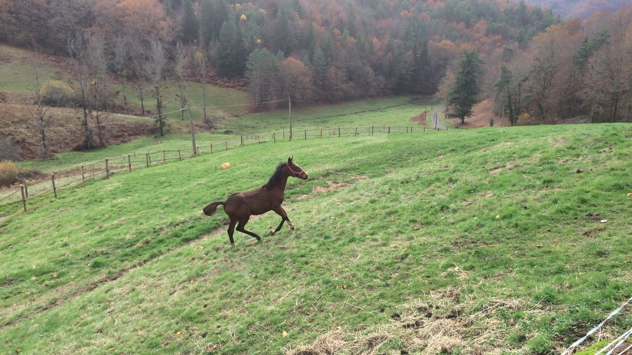 Photo of Outdoor in Argentat-sur-Dordogne