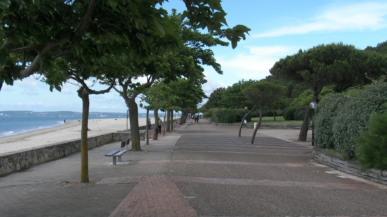 Photo of Others in Arcachon