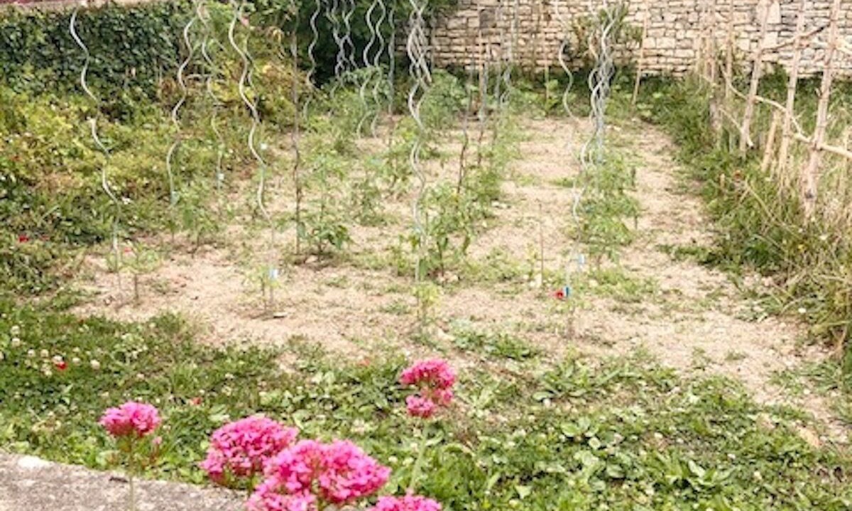 Photo of Outdoor in Villejesus