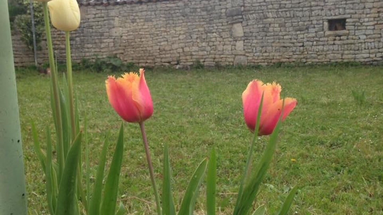 Photo of Outdoor in Villejesus