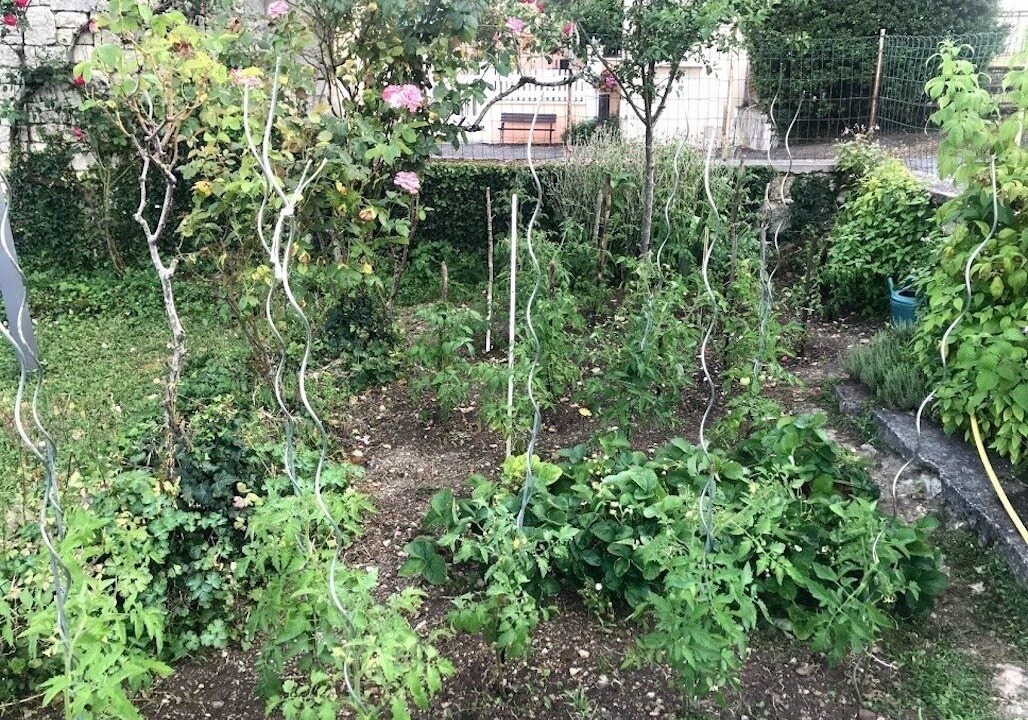 Photo of Outdoor in Villejesus