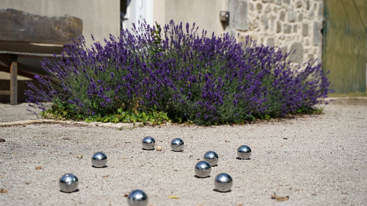 Photo of Outdoor in Tonnay-Charente