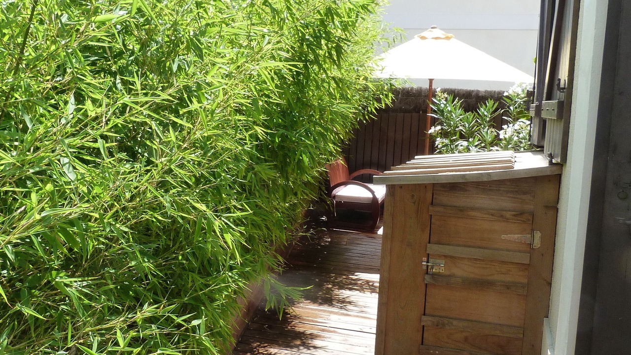 Photo of Patio Balcony in Arcachon
