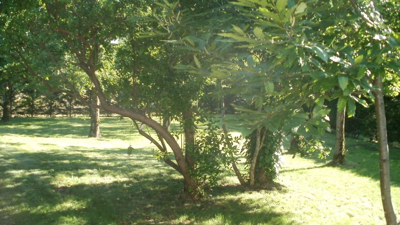 Photo of Outdoor in Lege-Cap-Ferret