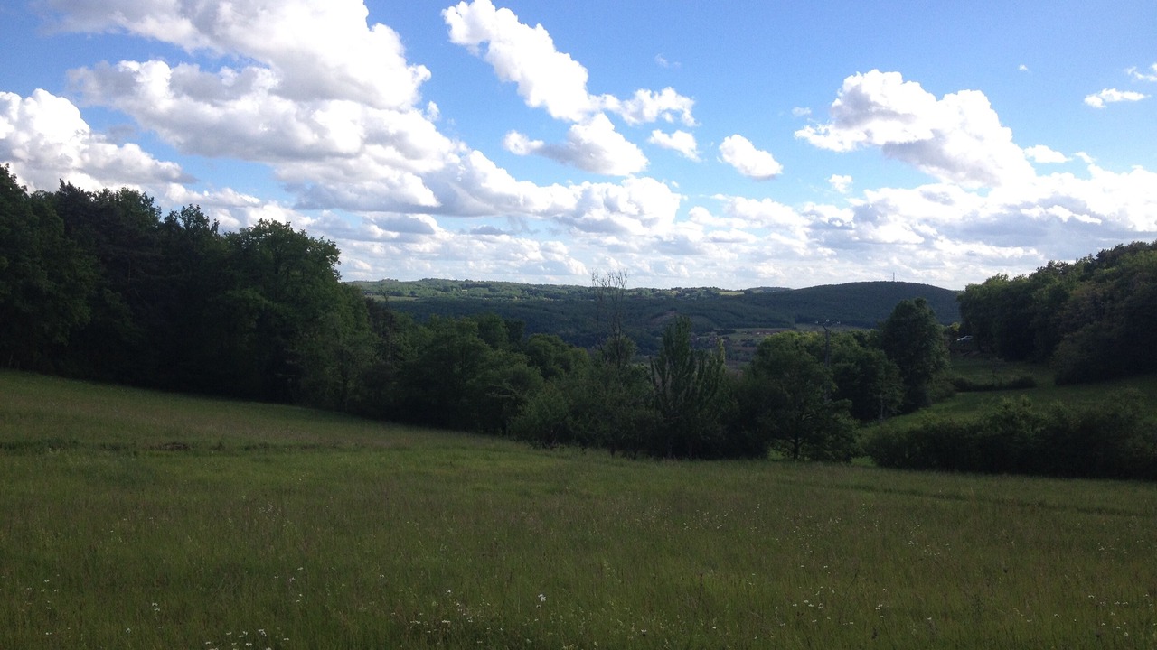 Photo of Outdoor in Castels et Bezenac