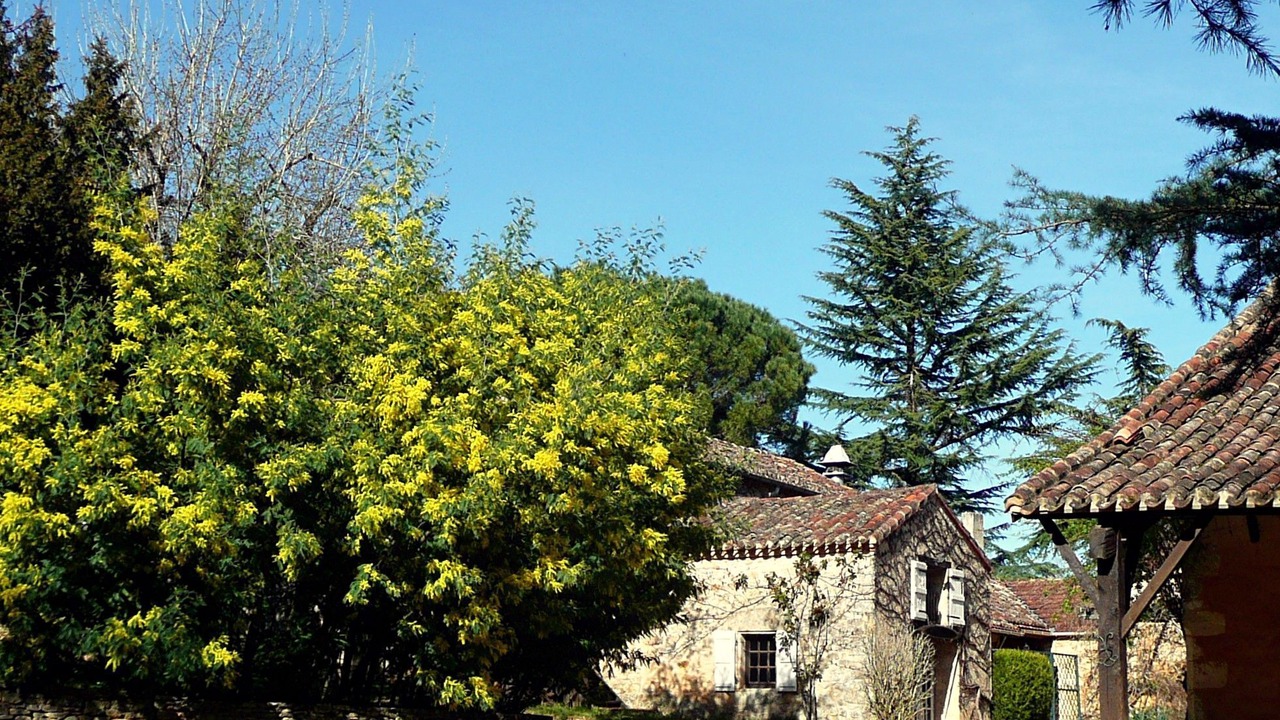 Photo of Outdoor in Gavaudun