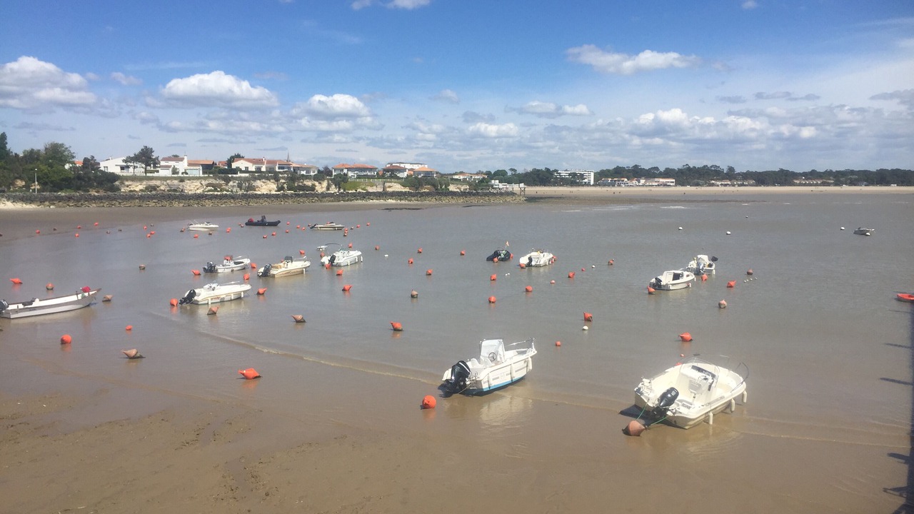 Photo of Others in Saint-Georges-de-Didonne