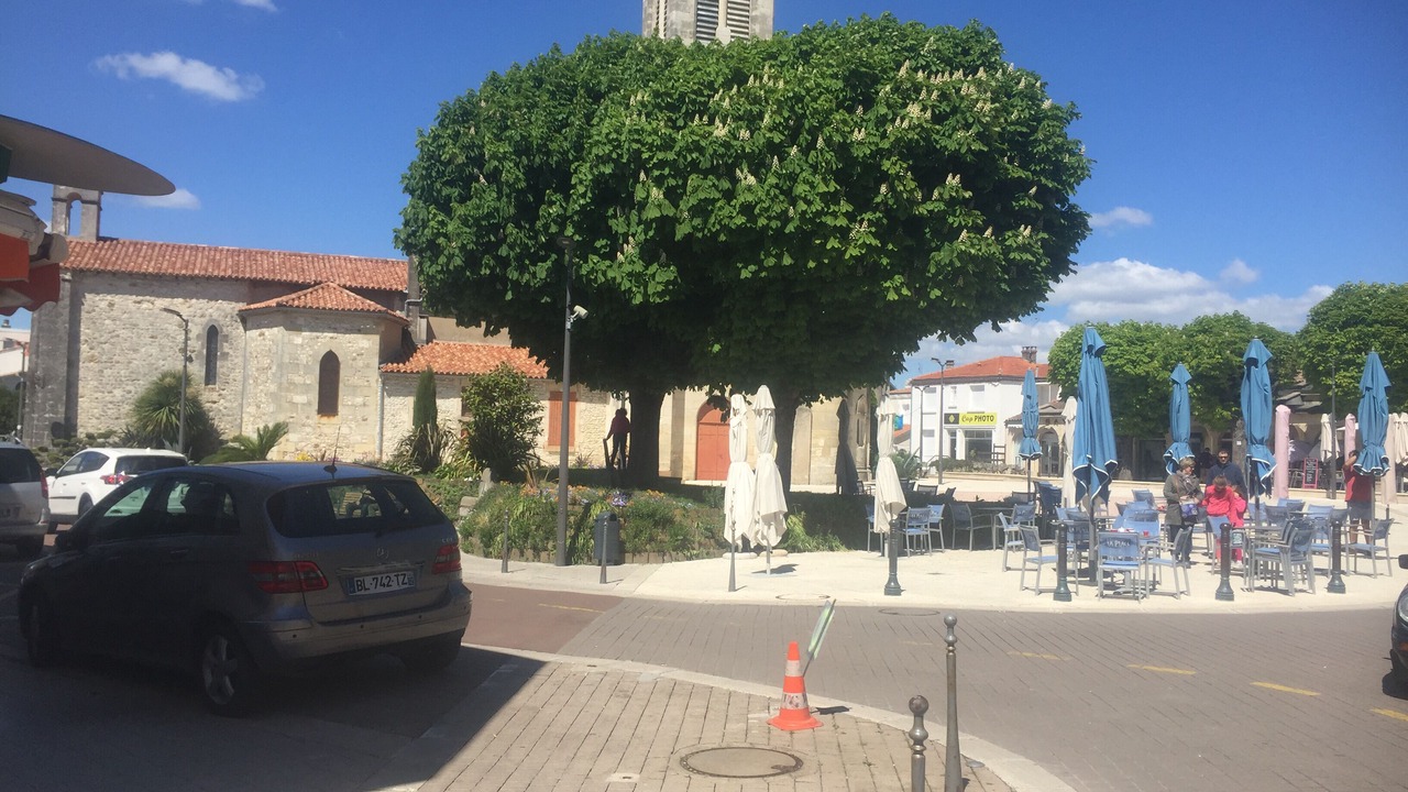 Photo of Others in Saint-Georges-de-Didonne