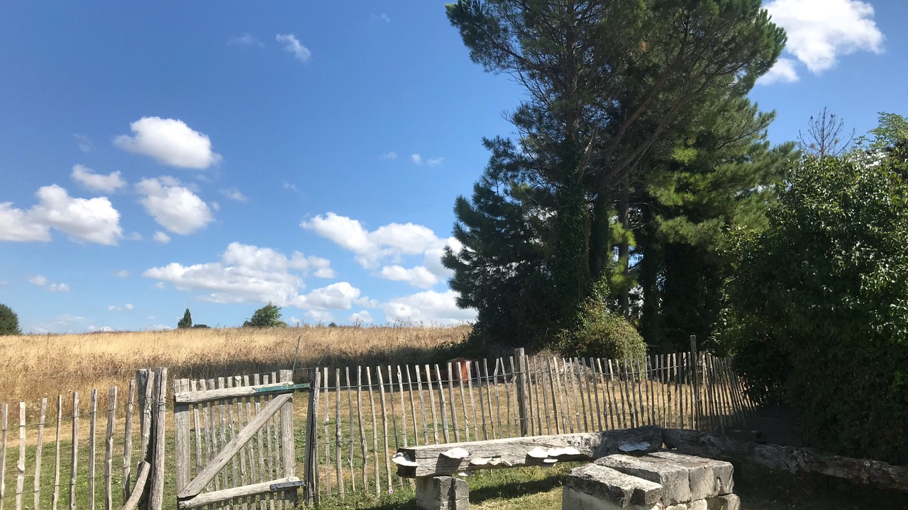 Photo of Outdoor in Saint-Romain-sur-Gironde