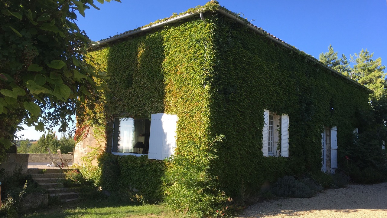 Photo of Outdoor in Saint-Romain-sur-Gironde
