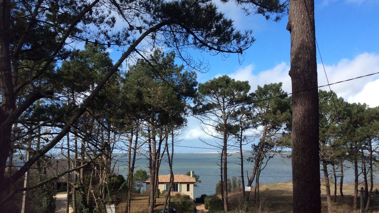 Photo of Others in Pyla-sur-Mer