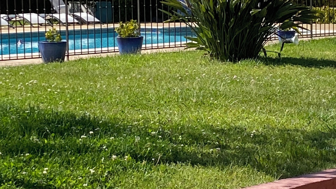 Photo of Outdoor in Roquebrune-sur-Argens