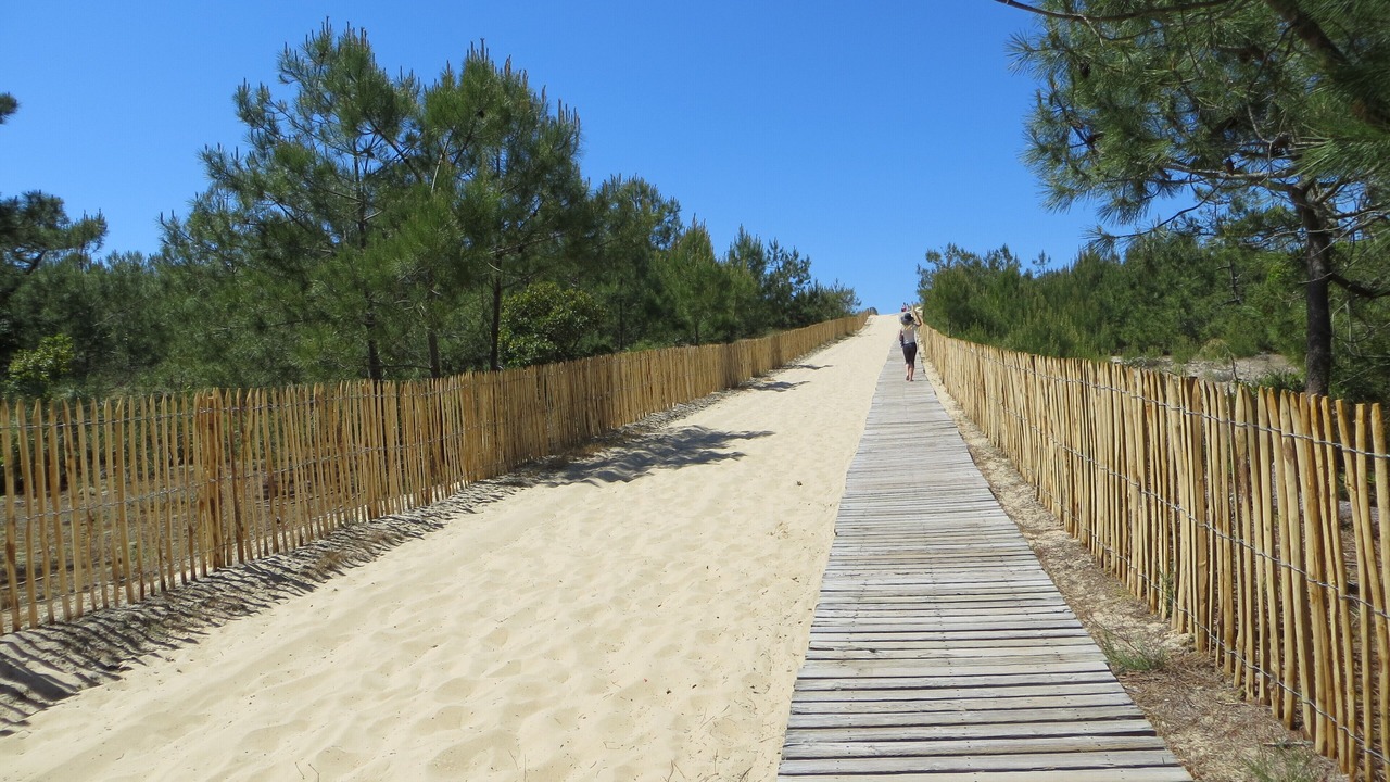 Photo of Others in Lege-Cap-Ferret