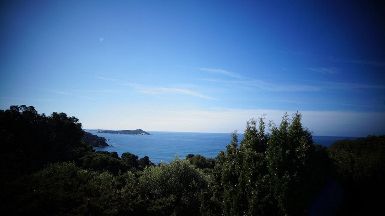 Photo of Others in Giens