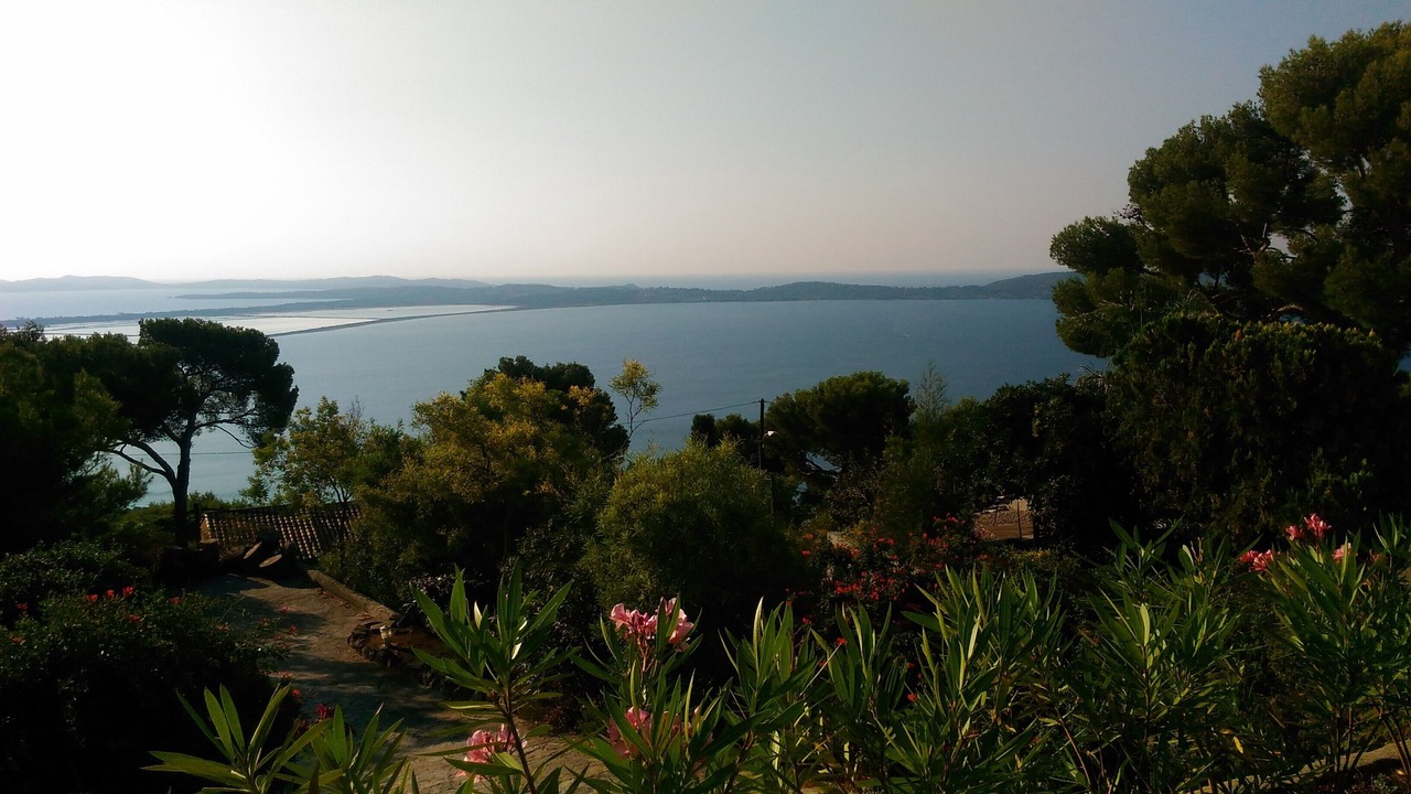 Photo of Others in Hyeres