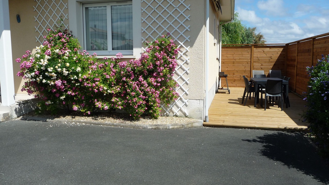 Photo of Outdoor in Gujan-Mestras