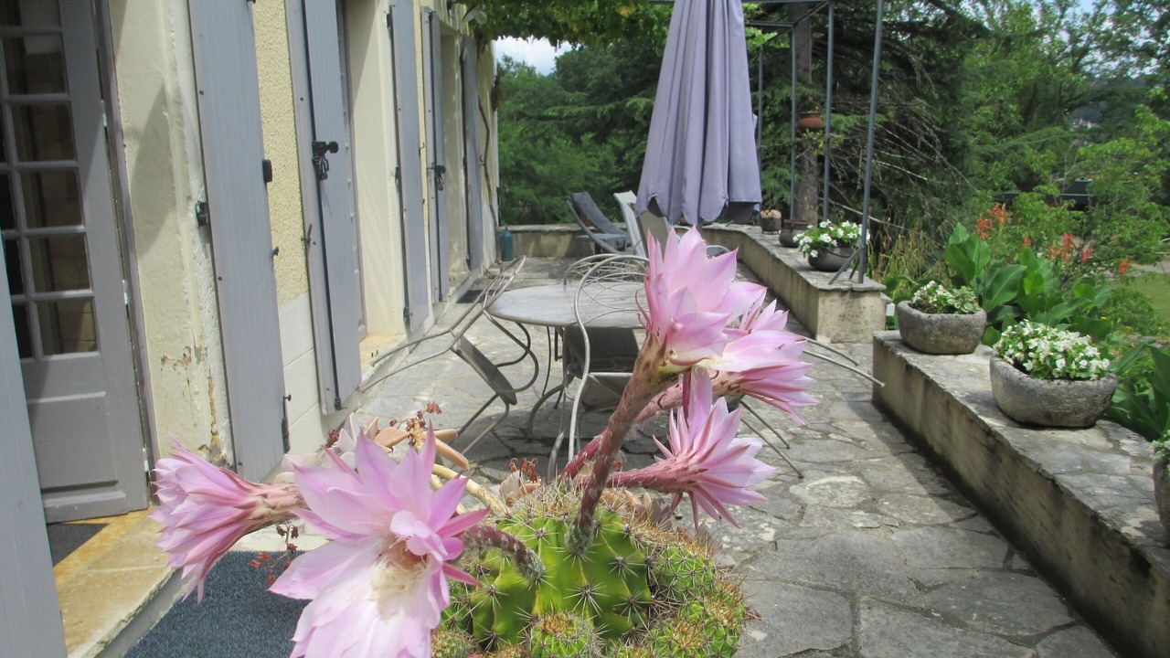 Photo of Outdoor in Sarlat-la-Caneda