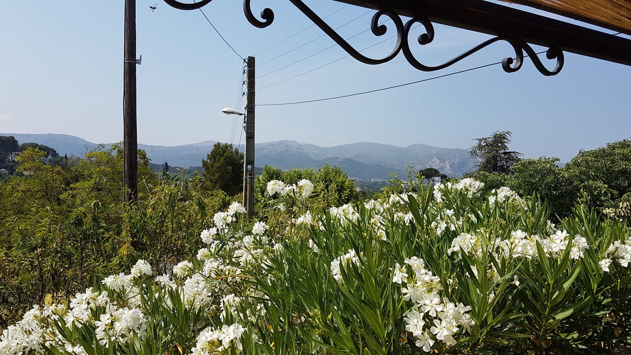 Photo of Outdoor in Les Camoins