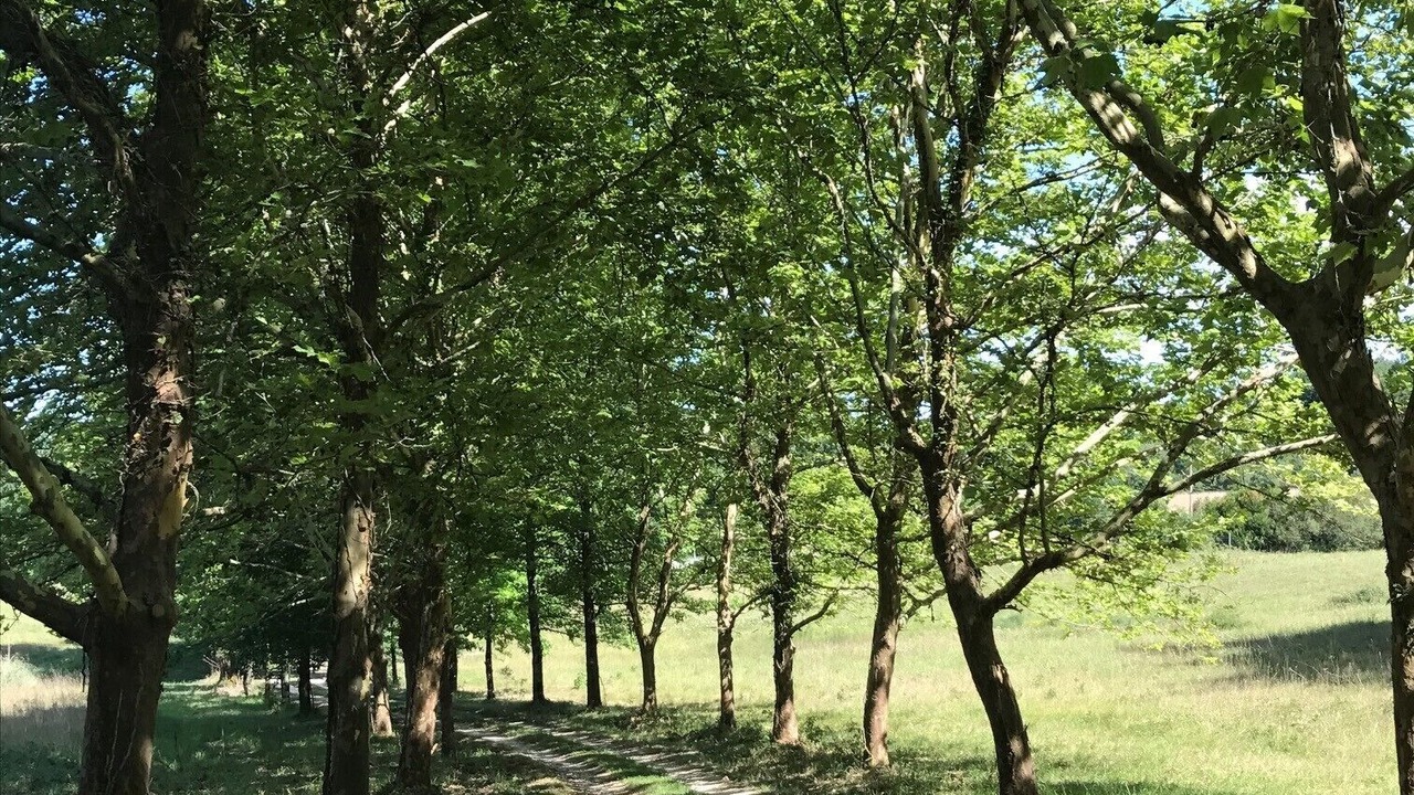 Photo of Outdoor in Echourgnac