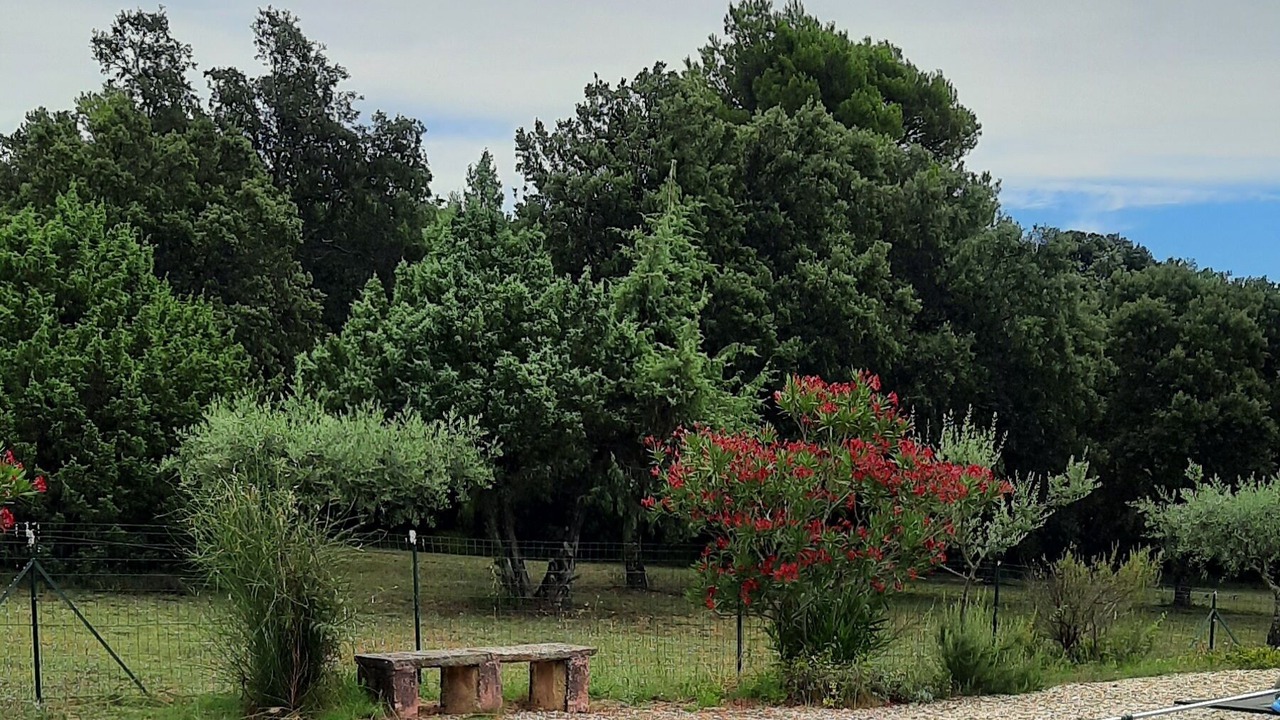 Photo of Outdoor in Aubignan