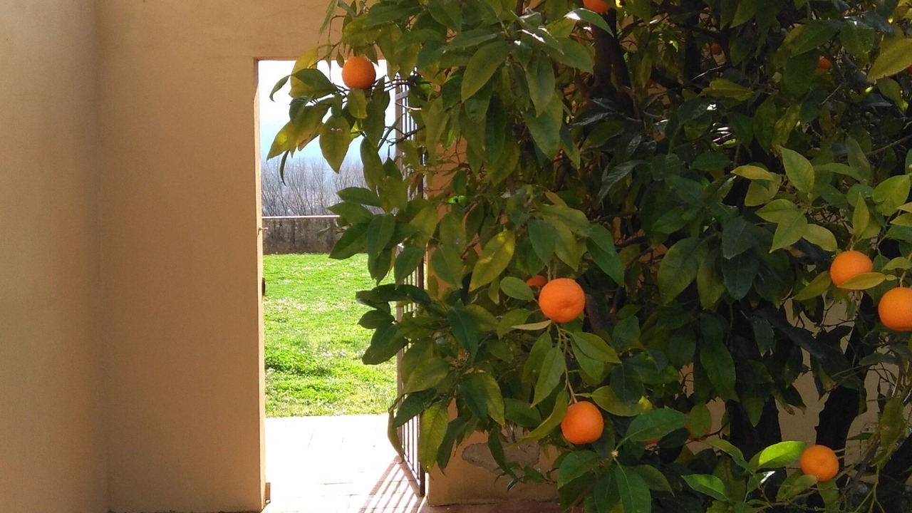 Photo of Outdoor in Poggio a Caiano