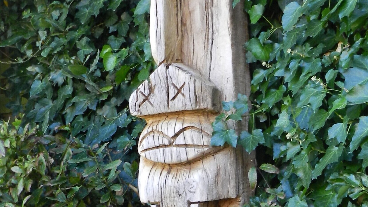 Photo of Outdoor in Talence