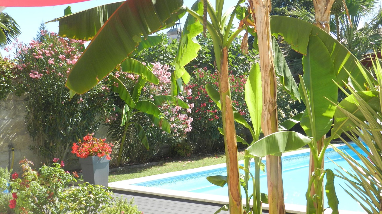 Photo of Outdoor in Talence