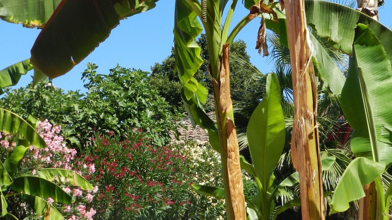Photo of Outdoor in Talence