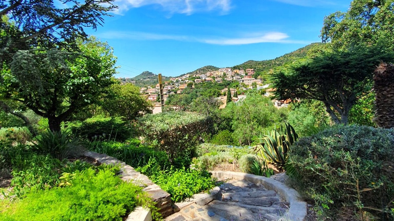 Photo of Outdoor in Hyeres