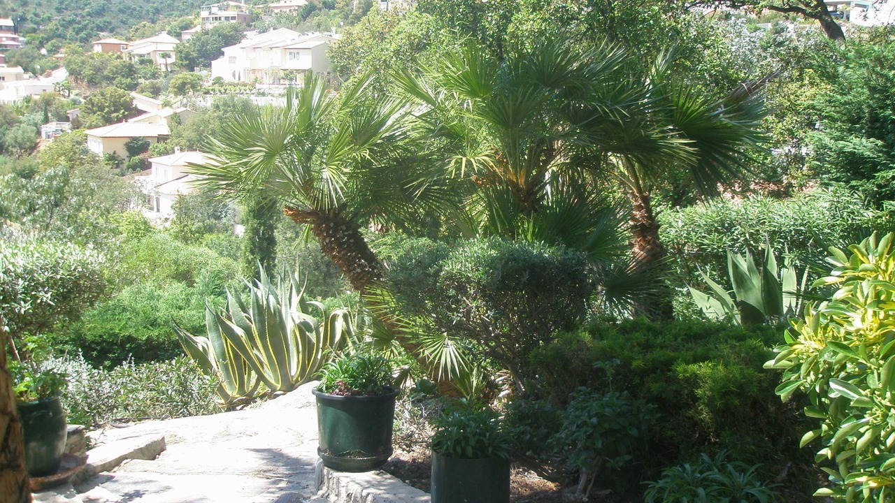 Photo of Outdoor in Hyeres