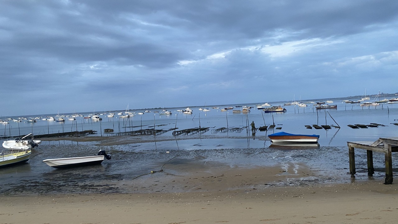Photo of Others in Le Canon