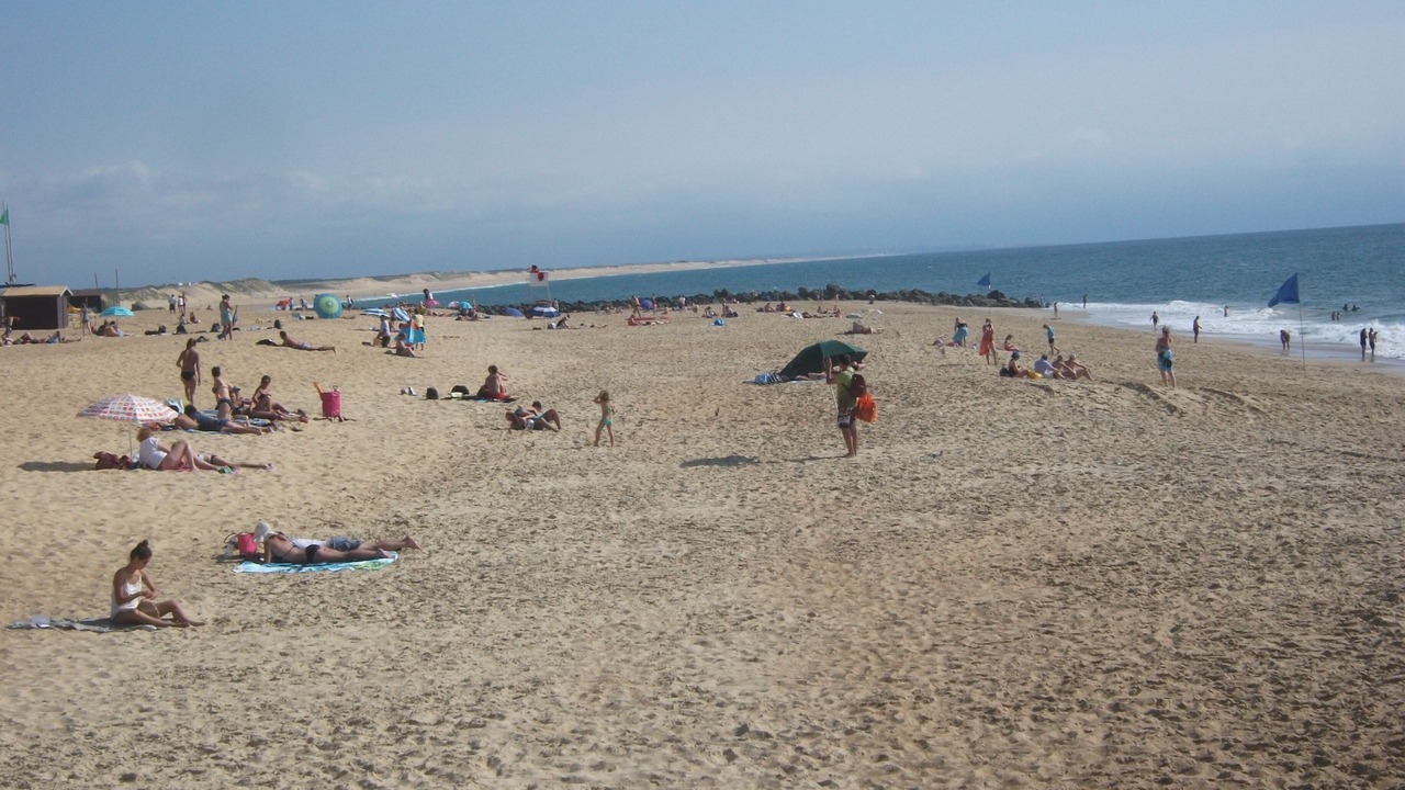 Photo of Others in Tarnos