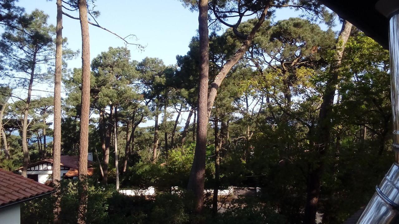 Photo of Outdoor in Pyla-sur-Mer