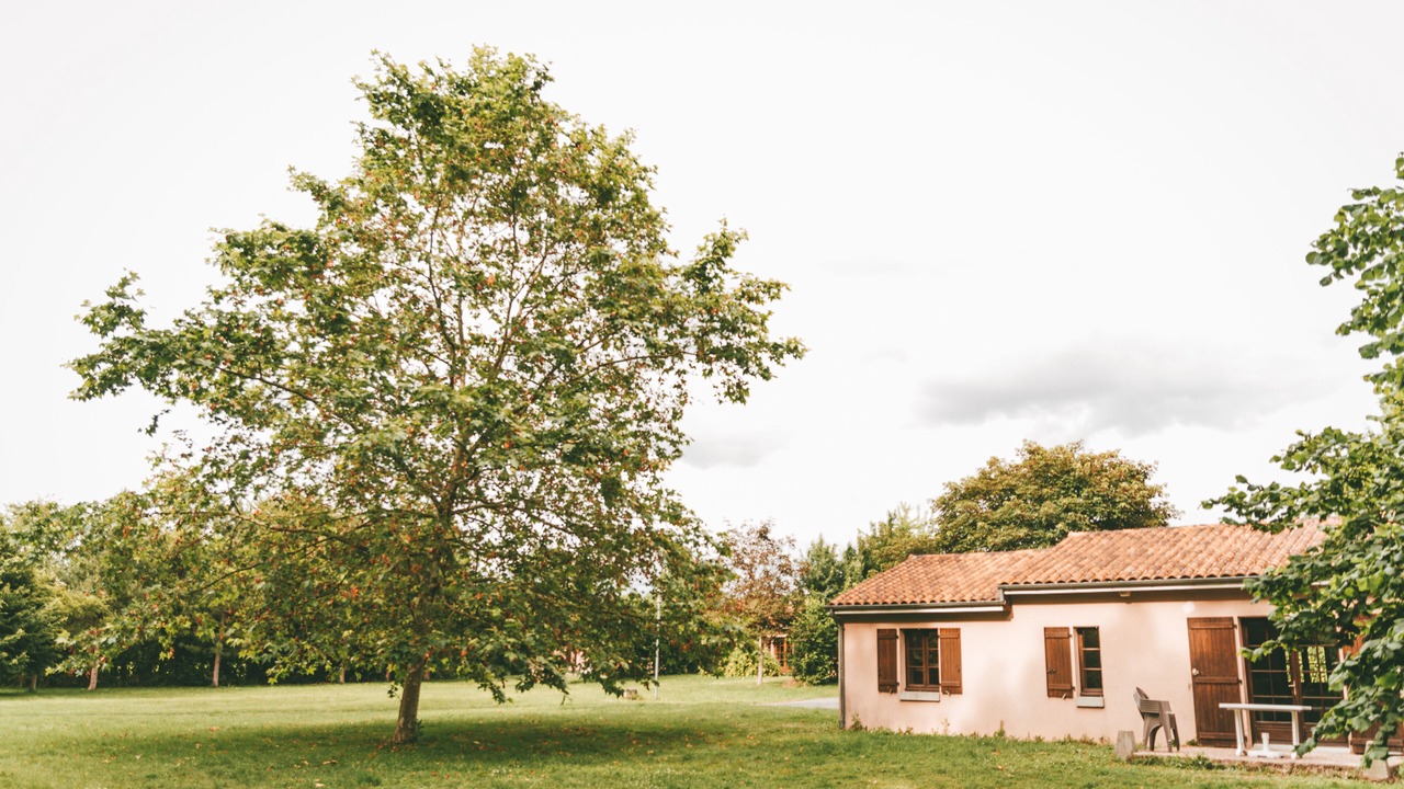Photo of Outdoor in Moncontour