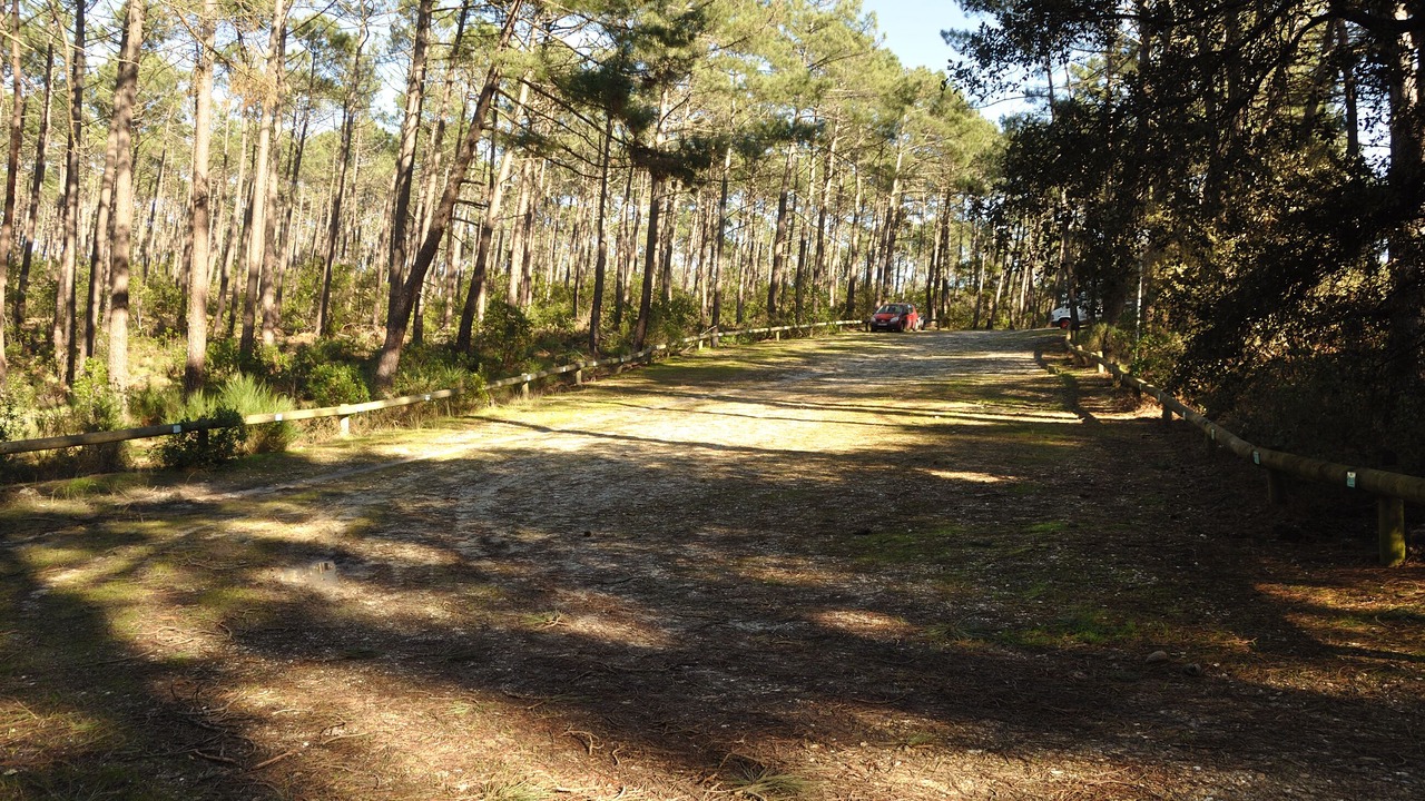Photo of Outdoor in Lacanau-Ocean