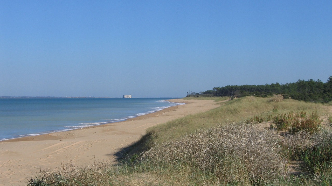 Photo of Others in Saint-Georges-d'Oleron