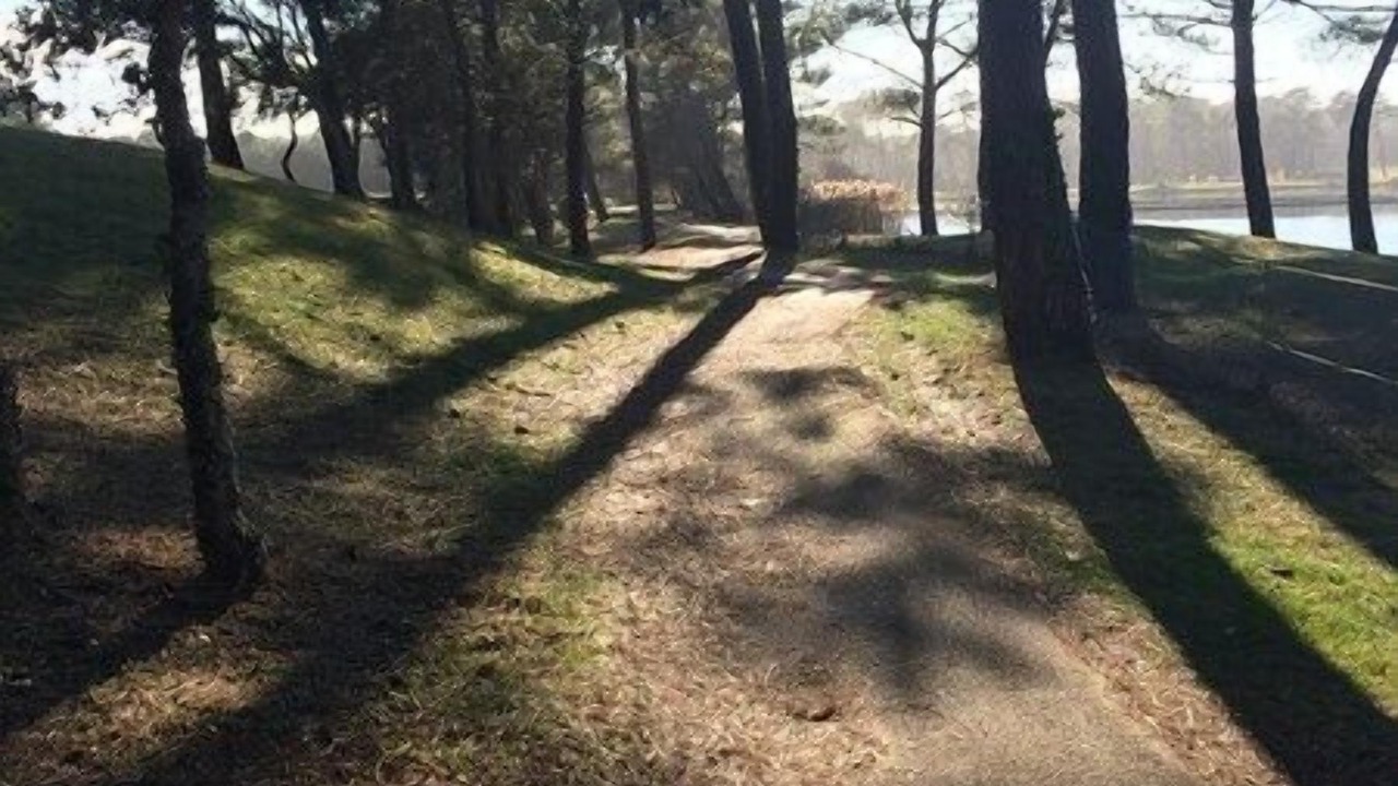 Photo of Outdoor in Soustons