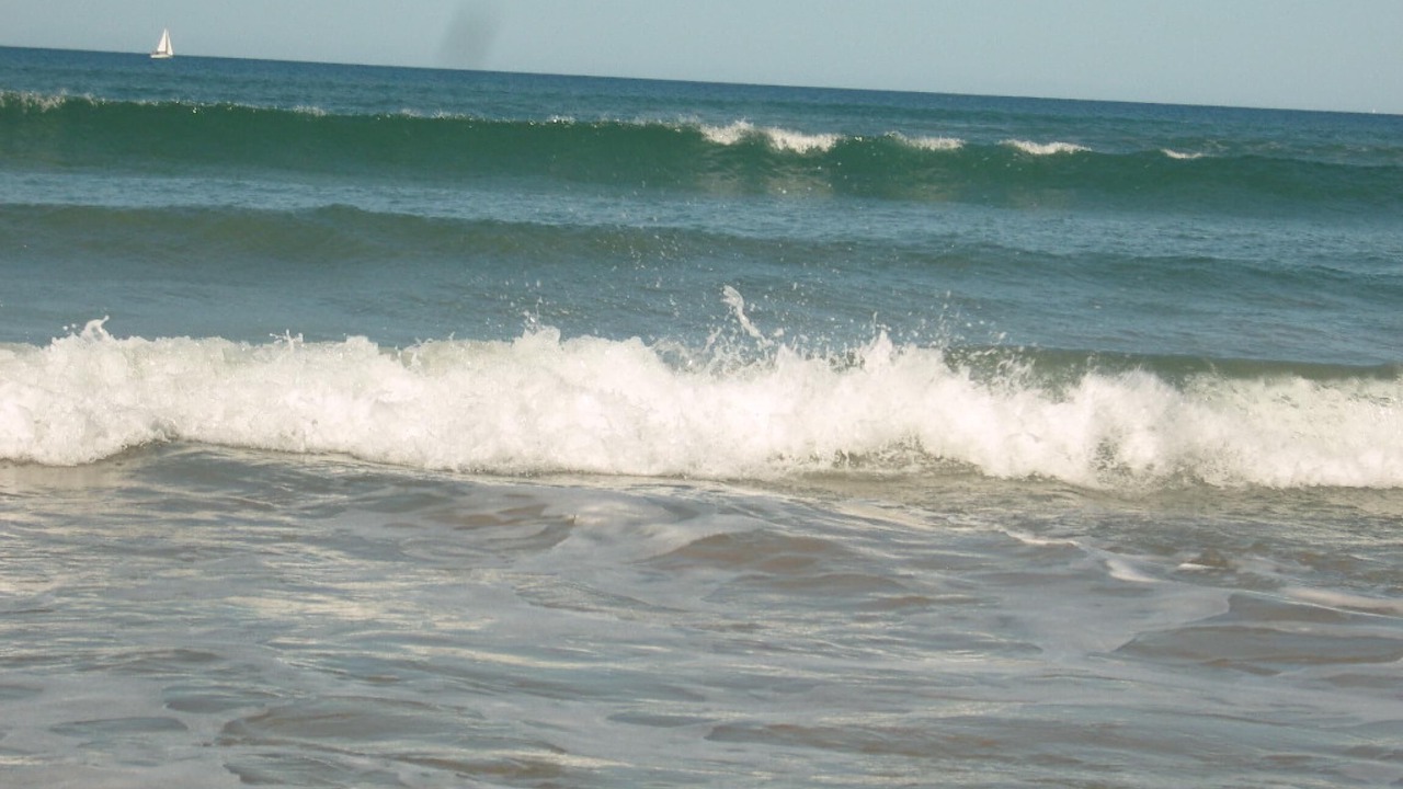 Photo of Others in Urrugne