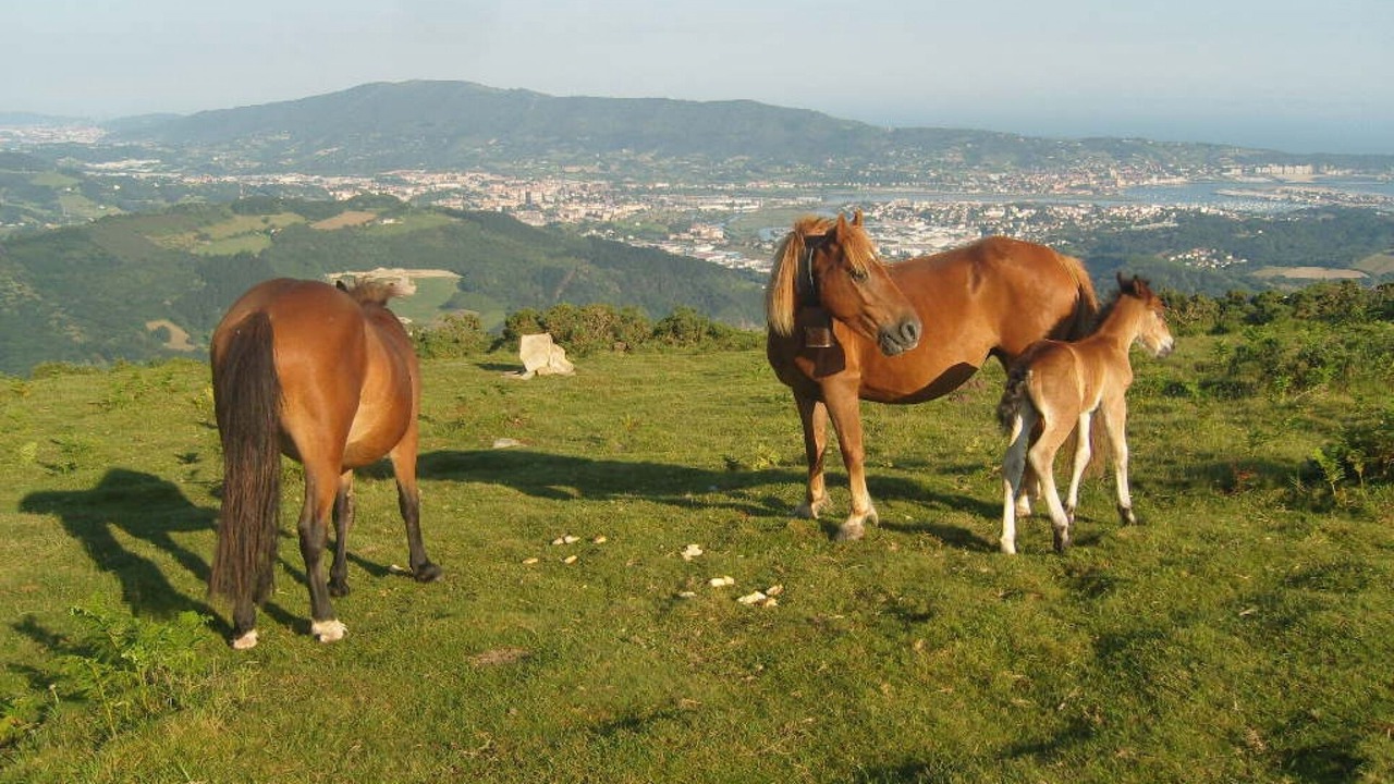 Photo of Outdoor in Urrugne