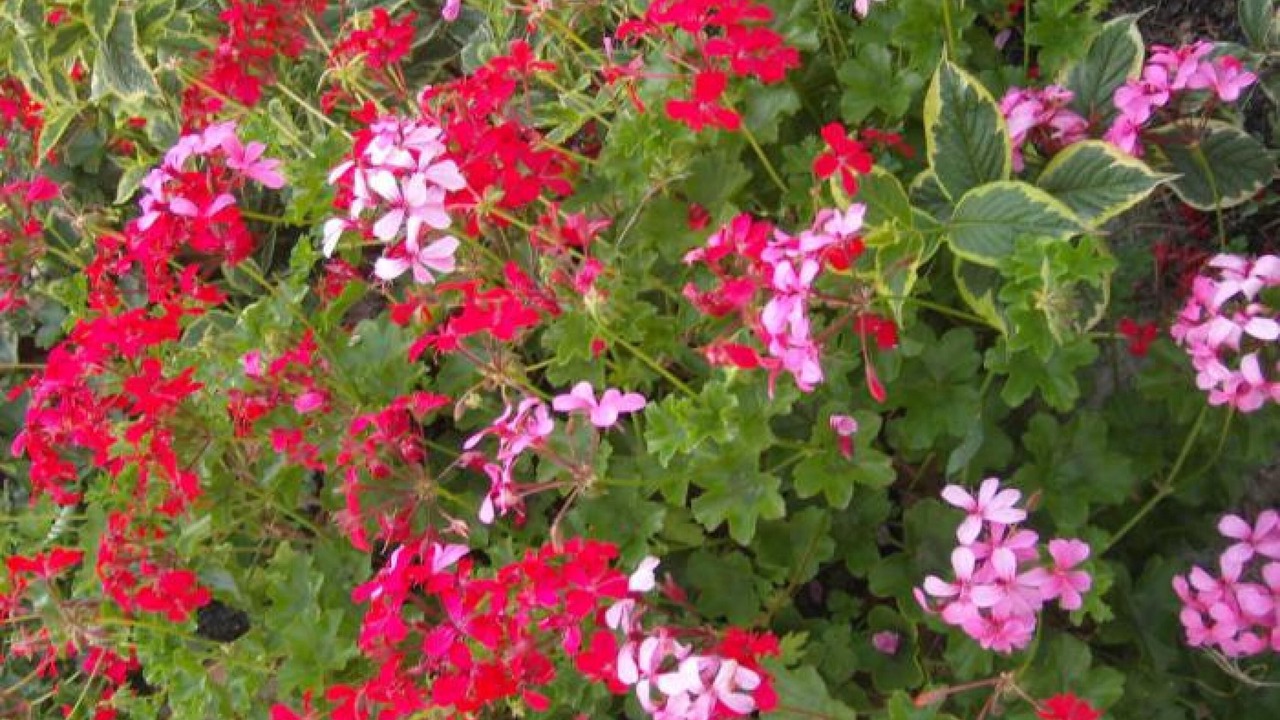 Photo of Outdoor in Urrugne