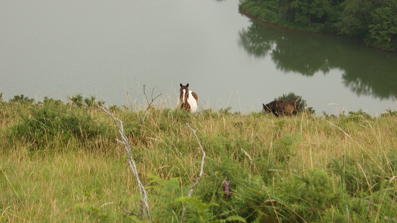 Photo of Outdoor in Urrugne