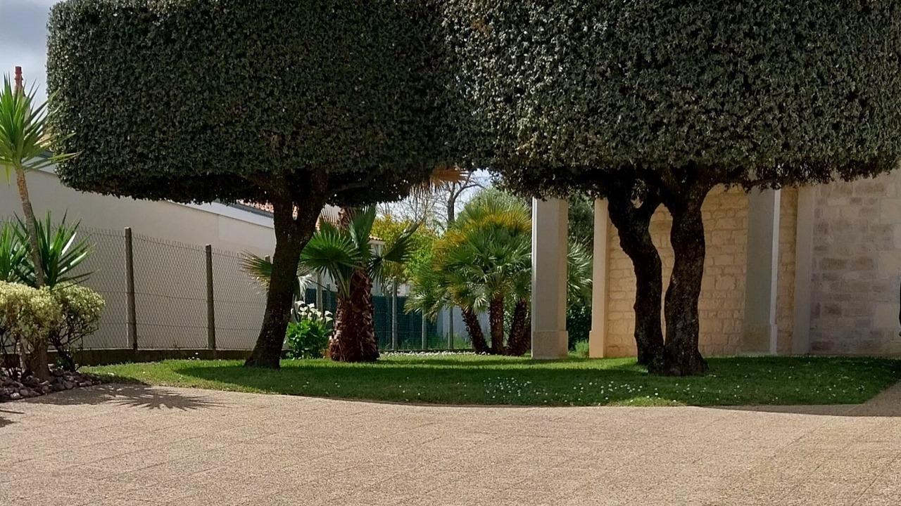 Photo of Outdoor in Saint-Georges-de-Didonne