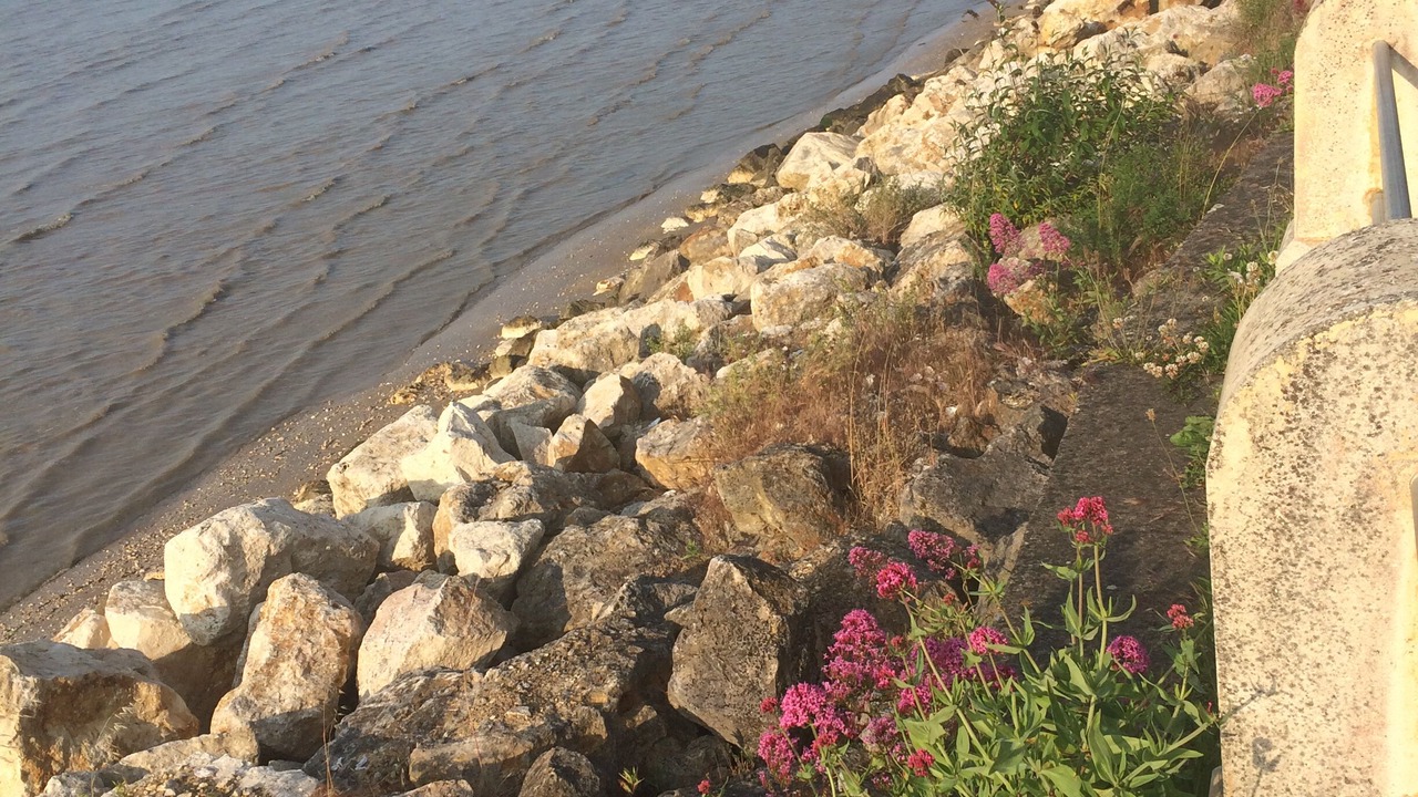 Photo of Others in Port-des-Barques