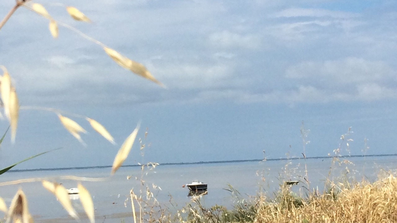 Photo of Others in Port-des-Barques