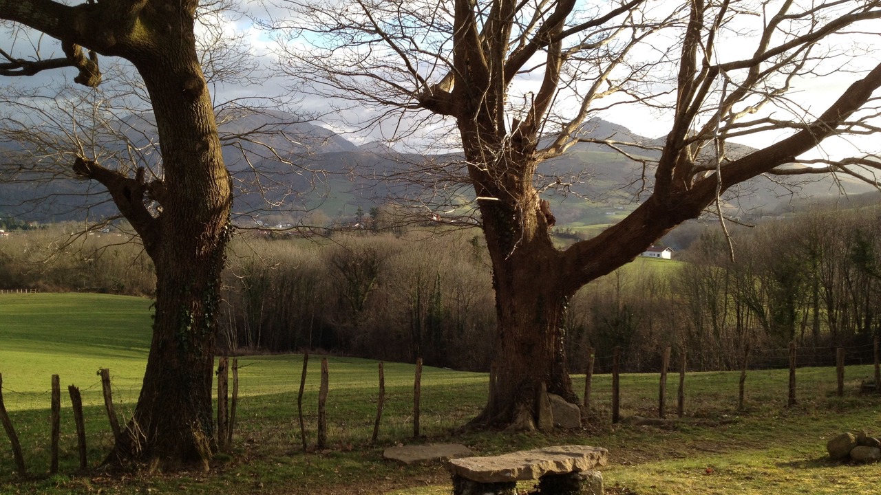 Photo of Outdoor in Itxassou