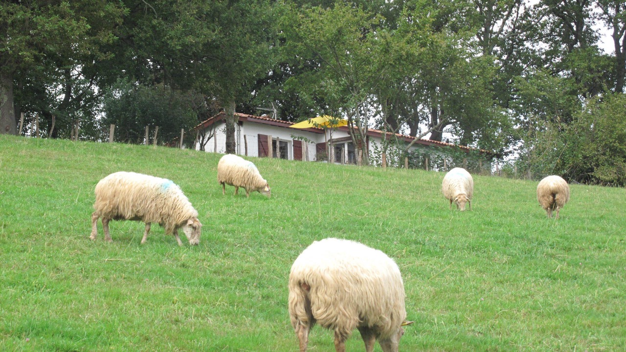Photo of Outdoor in Itxassou